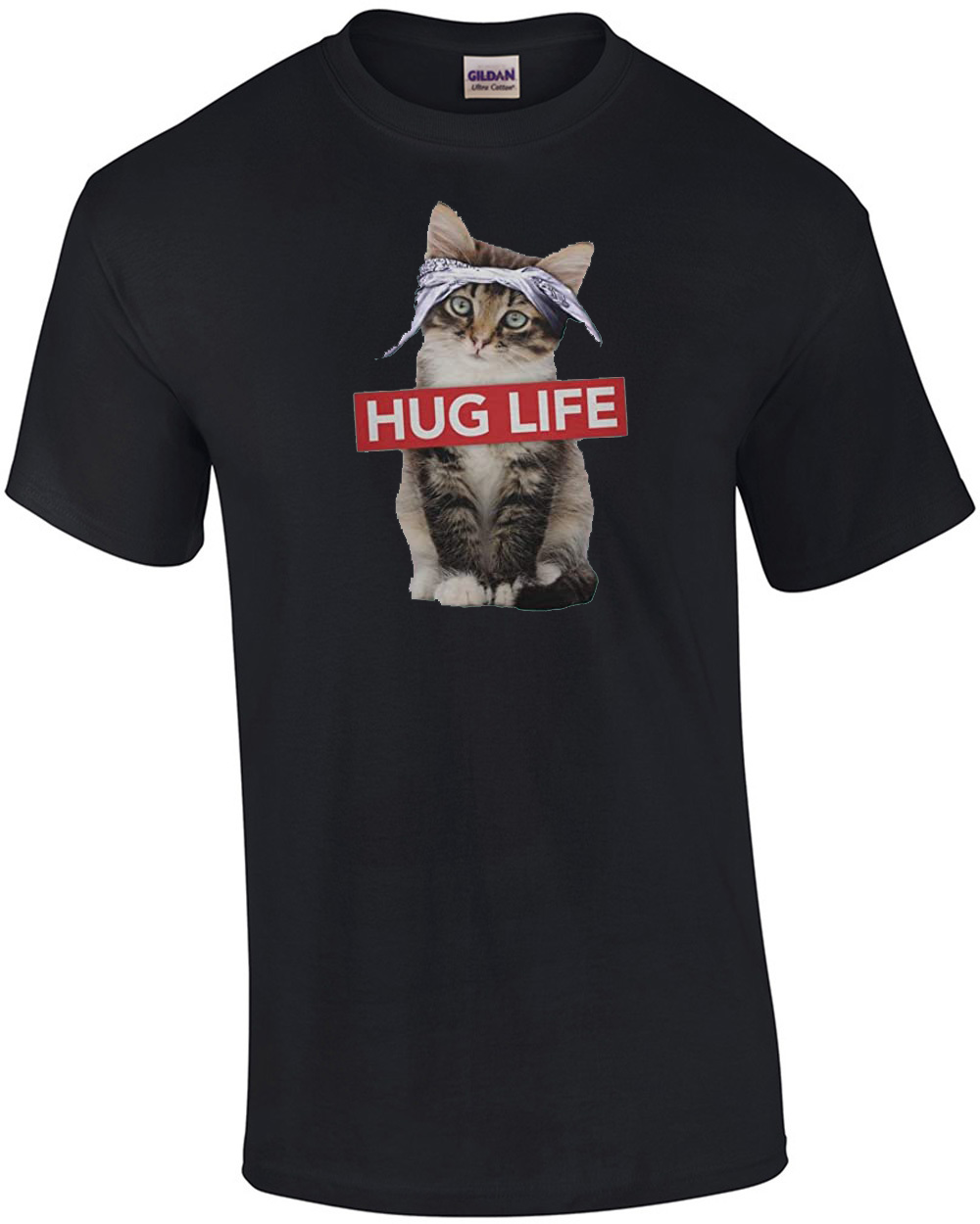 Cat Wearing Bandanna Hug Life